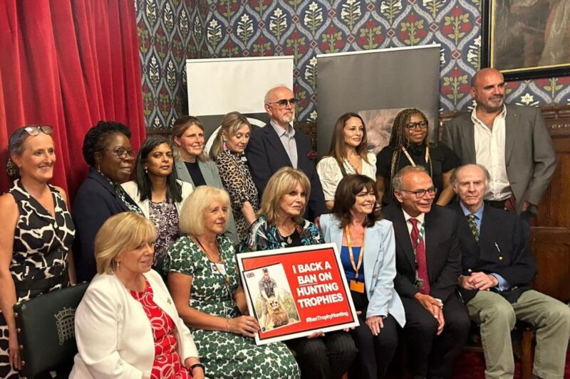 Ruth Jones MP hosts reception calling for ban of hunting trophy imports