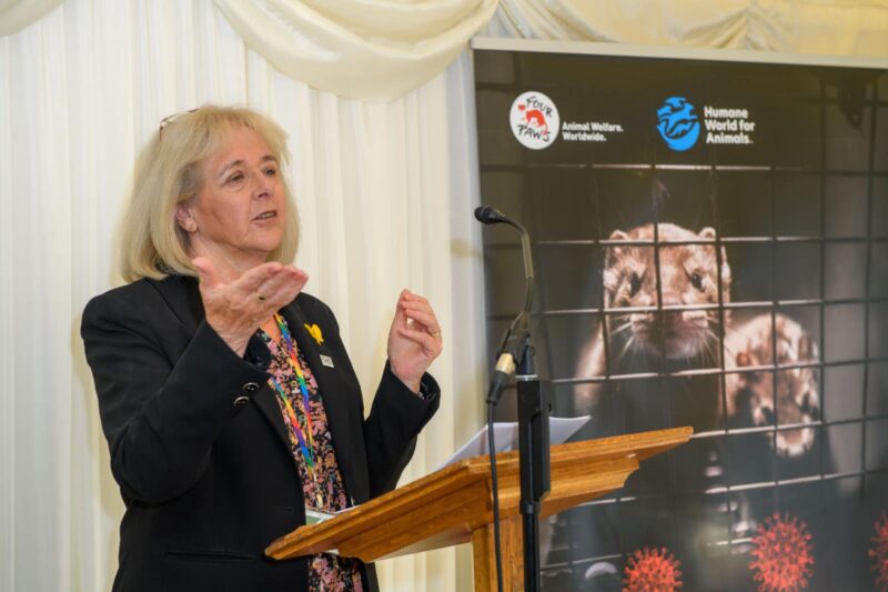 Experts are warning us about the public health risks of importing fur products.