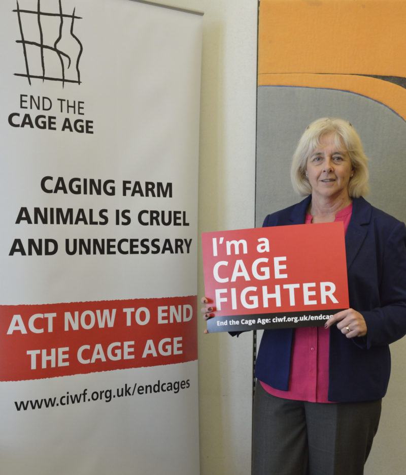 Ruth Jones attending the Cage Age drop-in